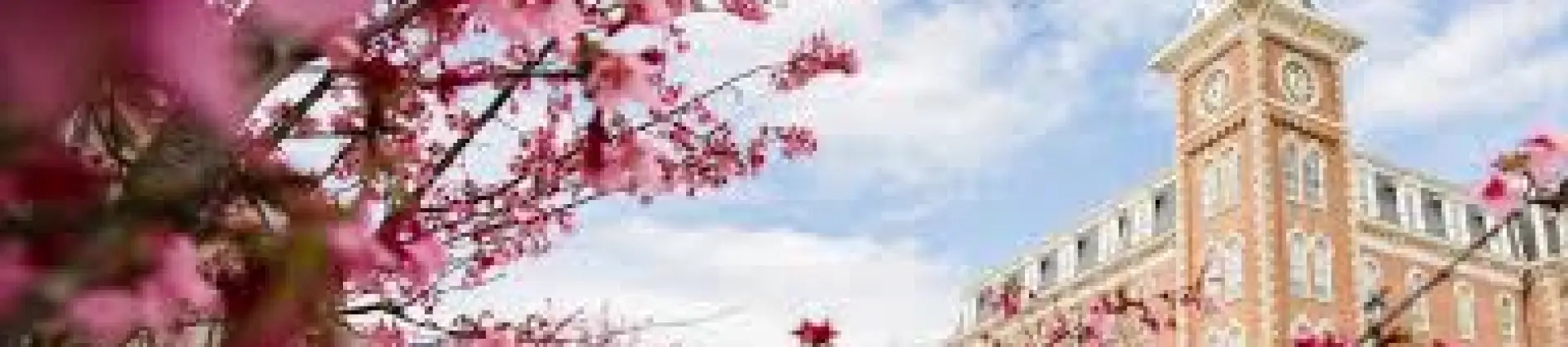 Agricultural Education, Communication & Leadership - Agricultural Education